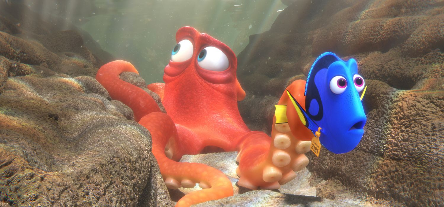 Dory 6
