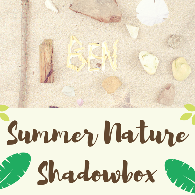 summer nature shadowbox