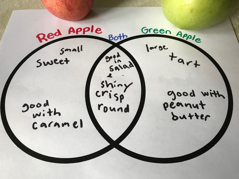 apple math ideas