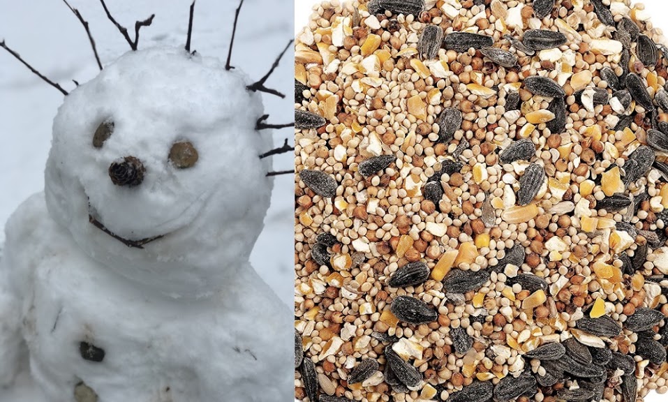 educational ideas with snow