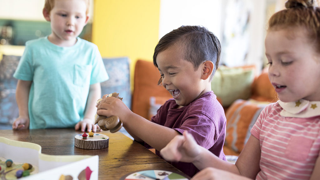 learning resources educational insights